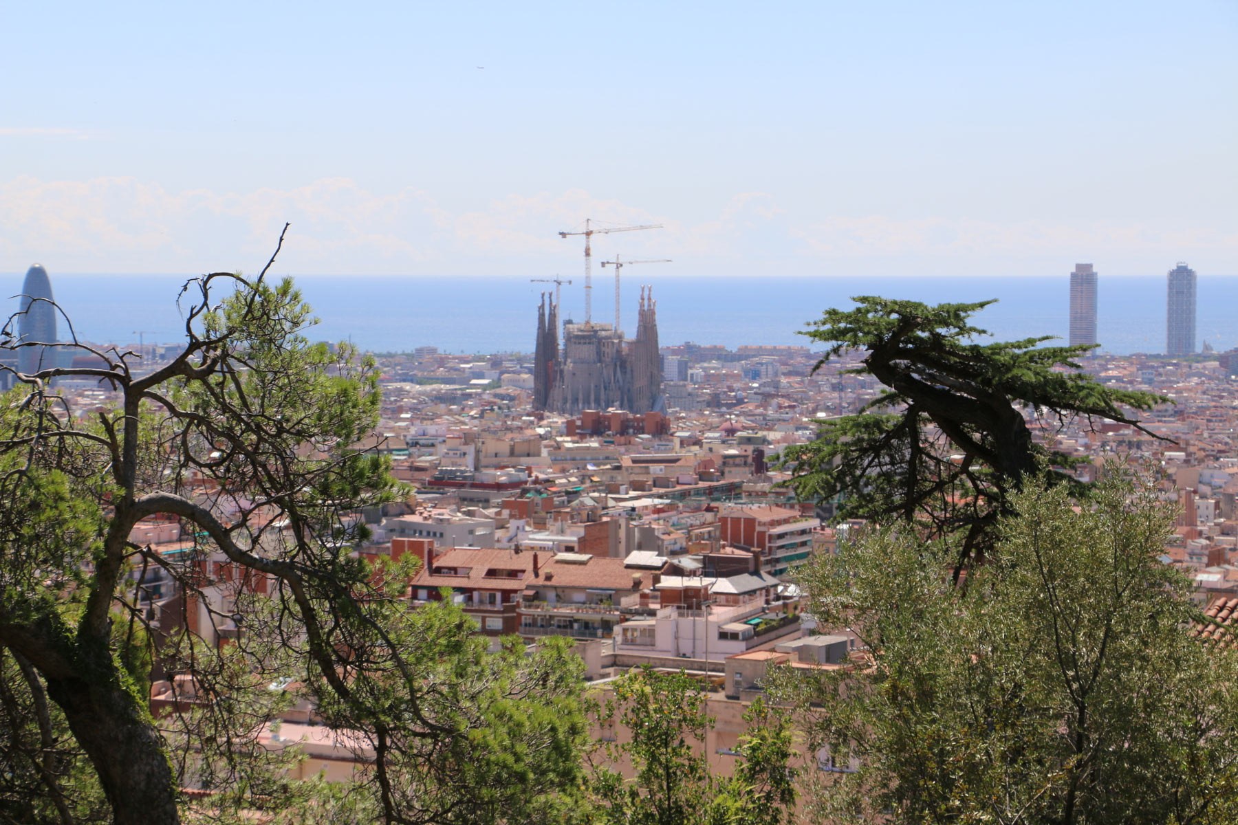 Barcelona-Wide.jpg#asset:360